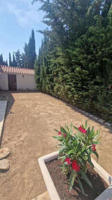 Jolie Villa Piscine A 15 Min Du Barcares Салс-льо-Шато Екстериор снимка